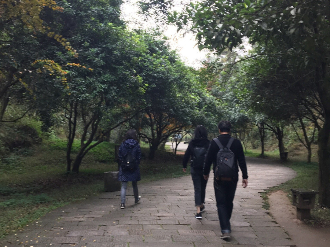 花山谜窟-黄山市必去景点