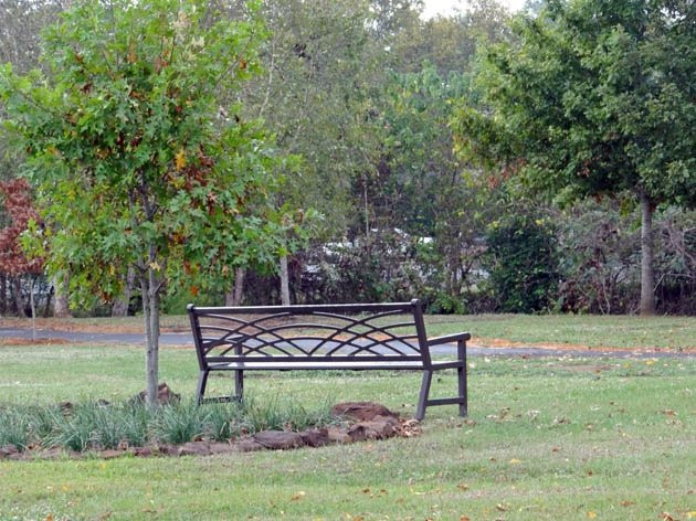 Banita Creek Park景点图片