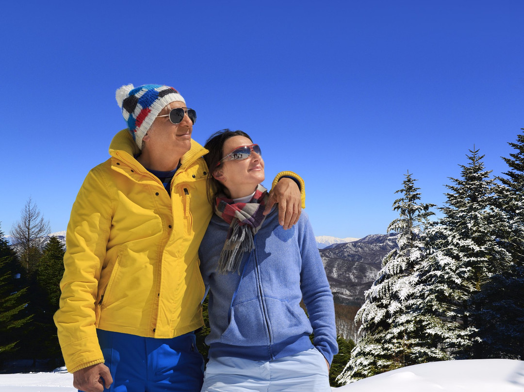 Blanche Takayama Ski Resort-长和町必去景点