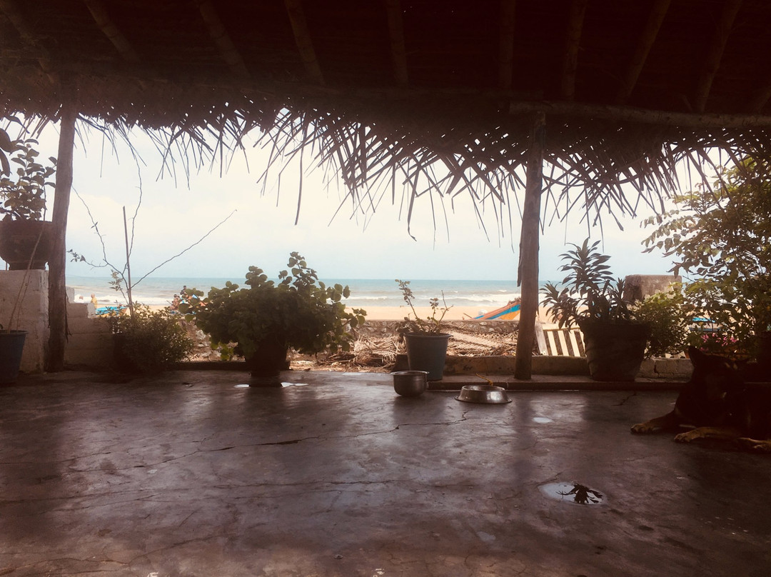 Salty Bone Divers-玛玛拉普蓝必去景点