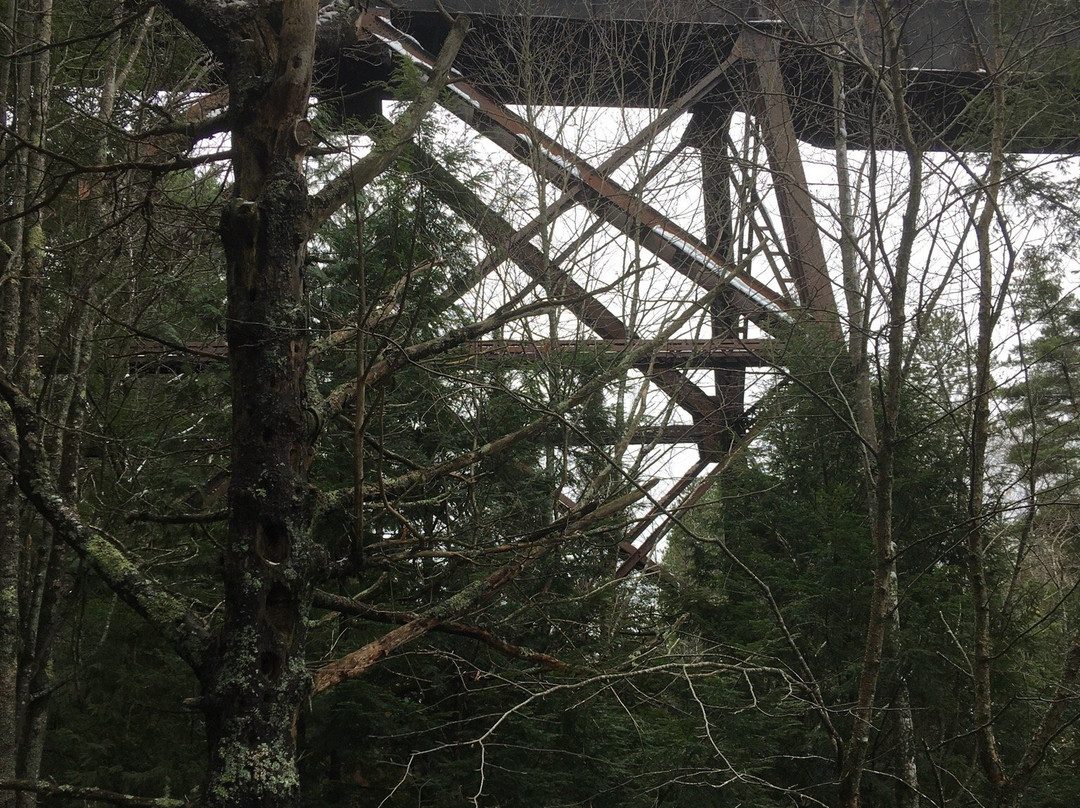 Agate Falls Scenic Site-Trout Creek必去景点