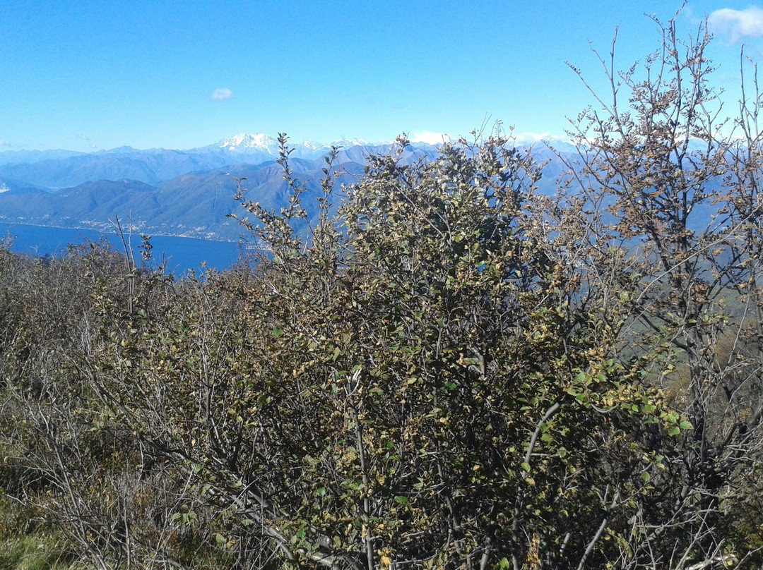 Monte Lema景点图片