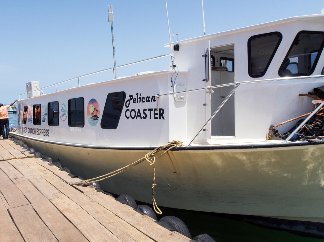 Sea Coach Express-弗里敦必去景点