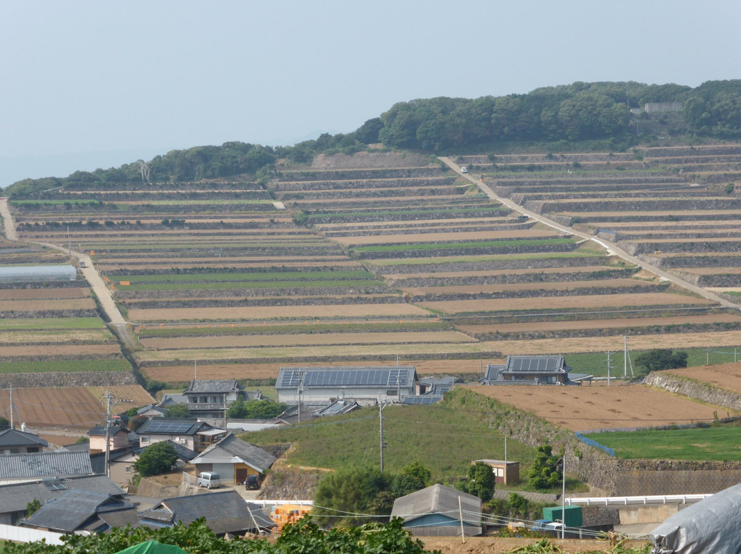 Minami Kushiyama Tanabatake Observation Deck-云仙市必去景点