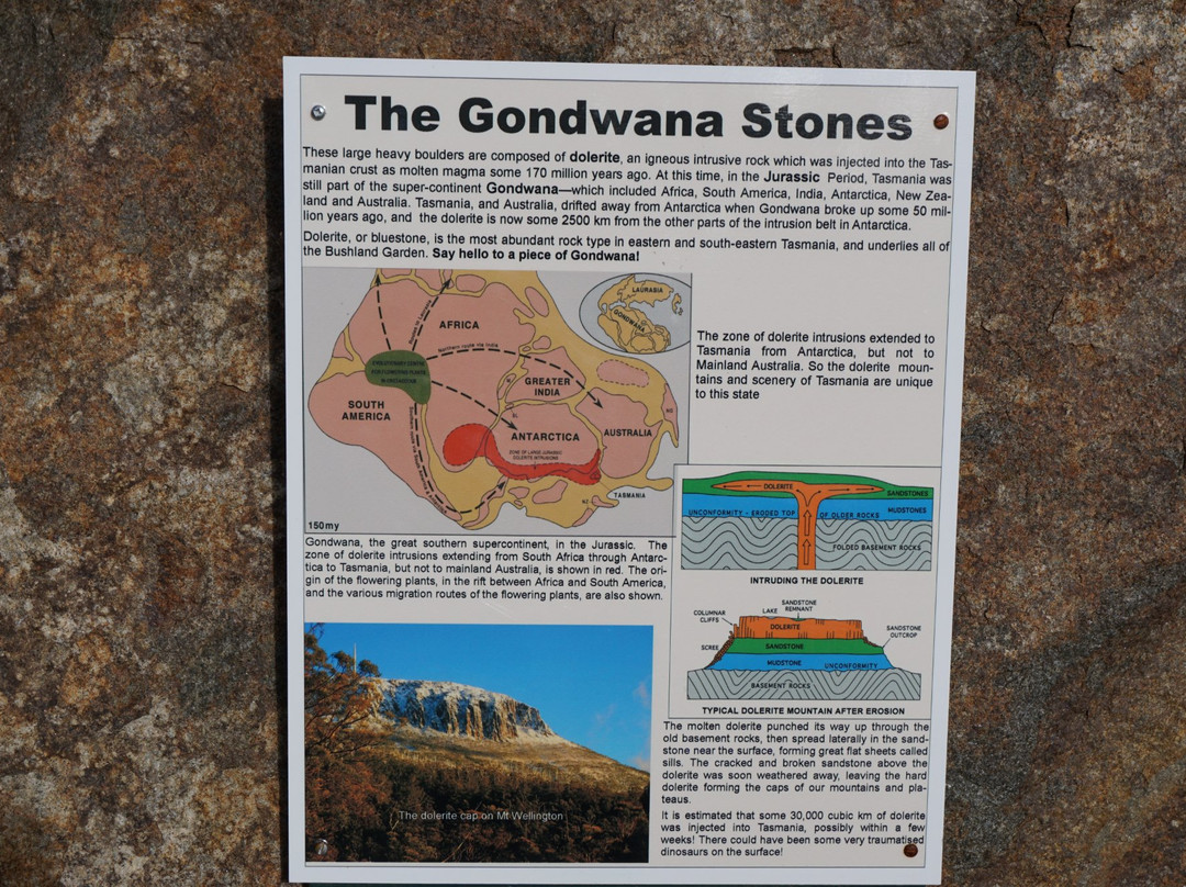 Tasmanian Bushland Garden-Buckland必去景点