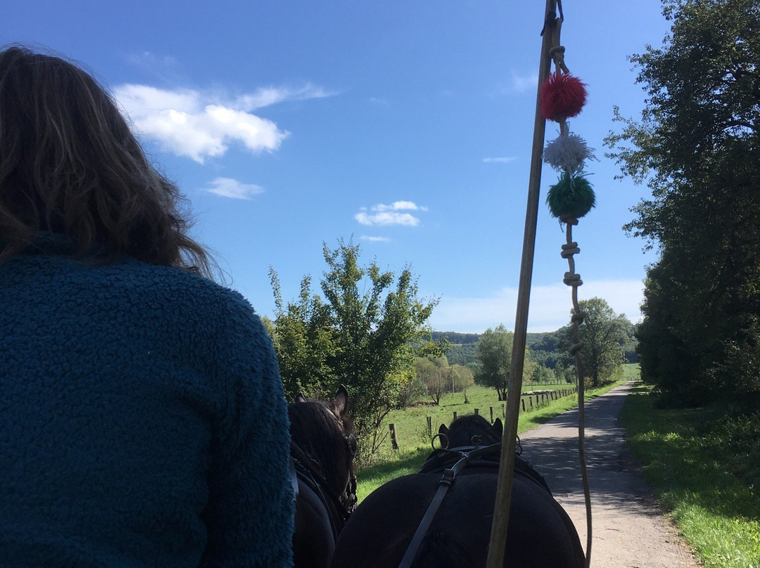 Boszenfa旅游攻略图片