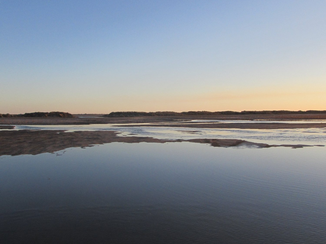 Plage de Beauduc