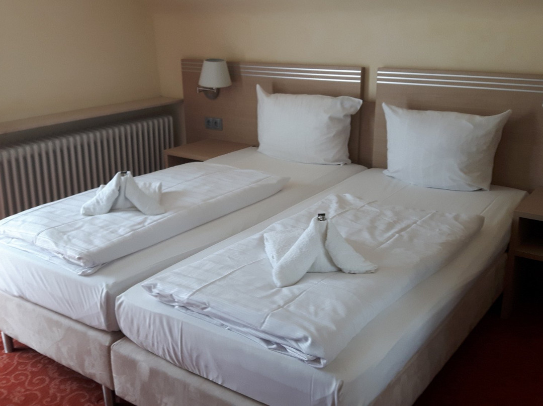 Hotel Gastehaus Deidesheim主图