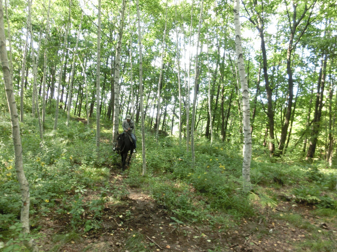 Clark Horse Garden-旭川市必去景点