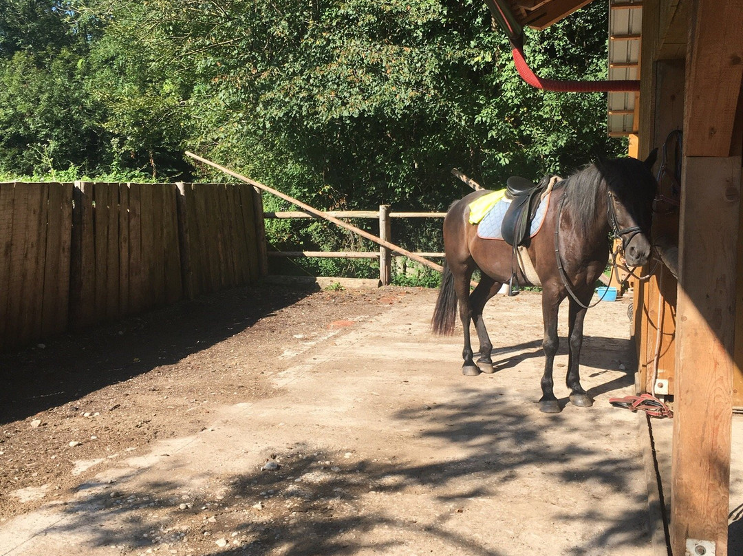 Horse Riding Club Ranch Pelance景点图片