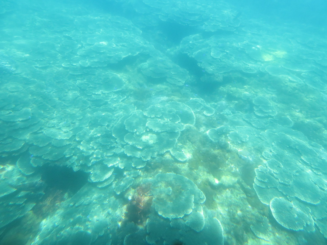 Underwater Vision Ship Saturday景点图片
