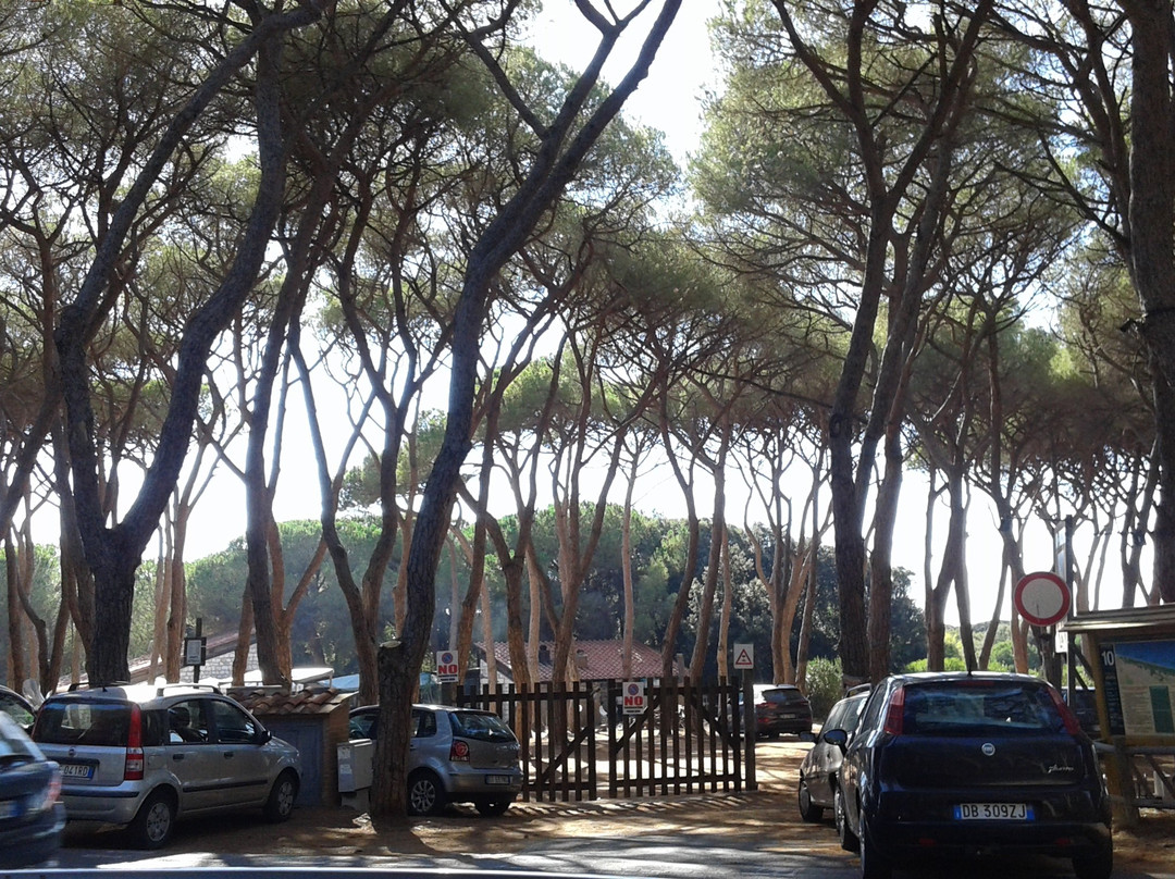 Spiaggia La Principess / Principess Beach景点图片