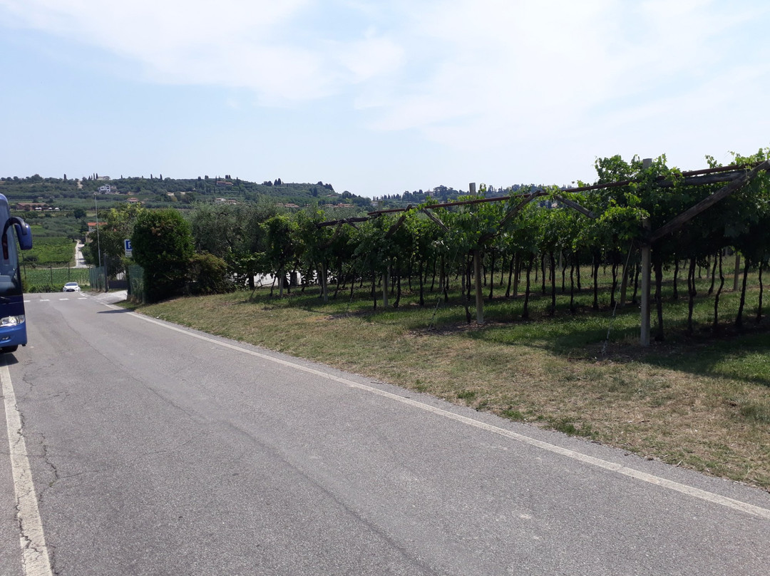 Azienda Agricola Costadoro景点图片
