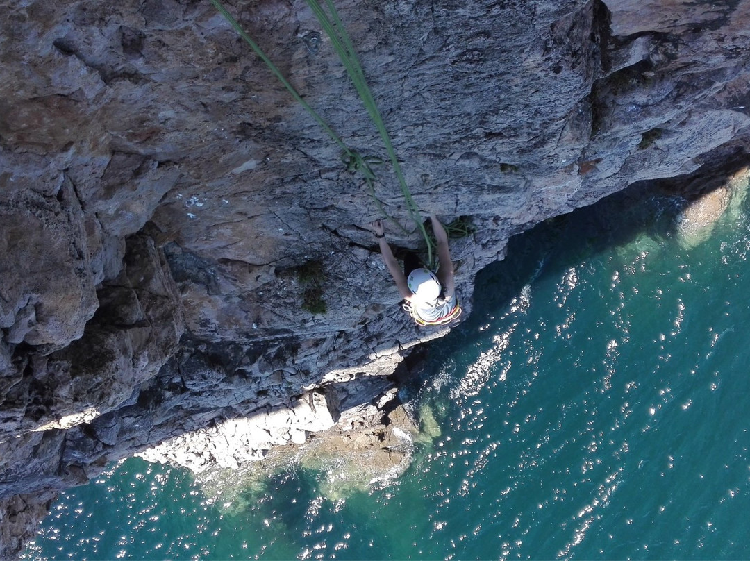 ASA Algarve Sea Adventures景点图片