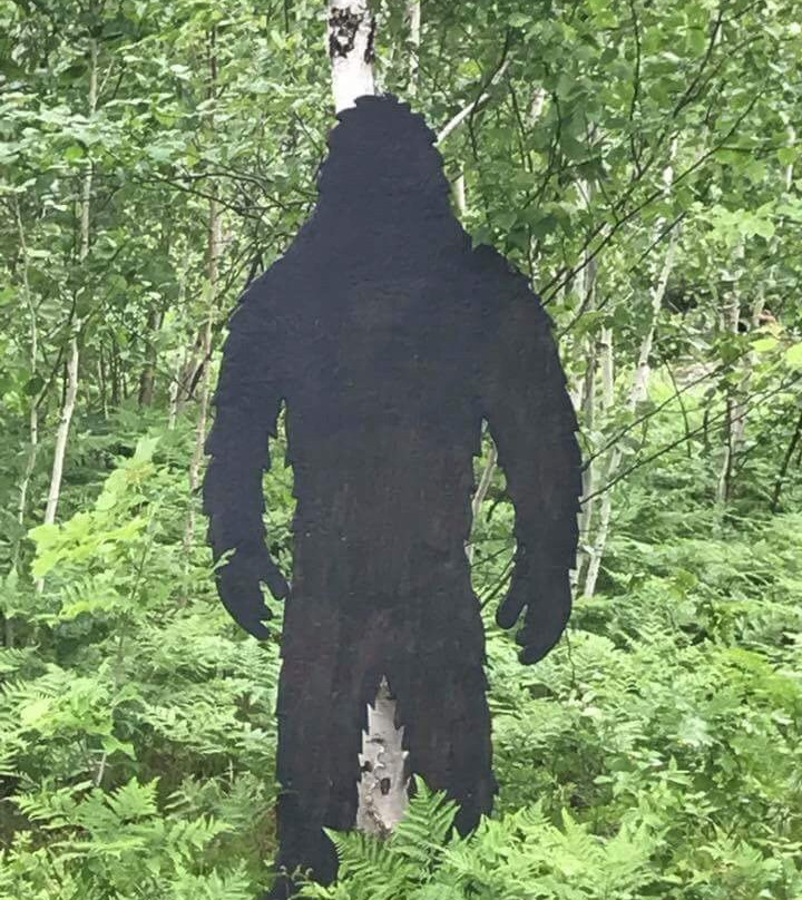 Kalmo Park Conservation Area-Val Caron必去景点