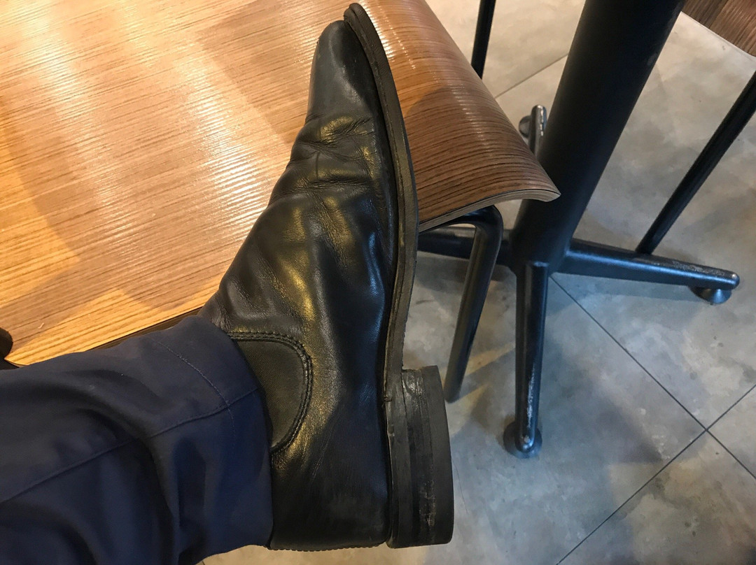 威廉姆斯光学眼镜店景点图片
