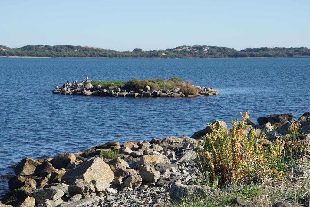 Leschenault Inlet景点图片