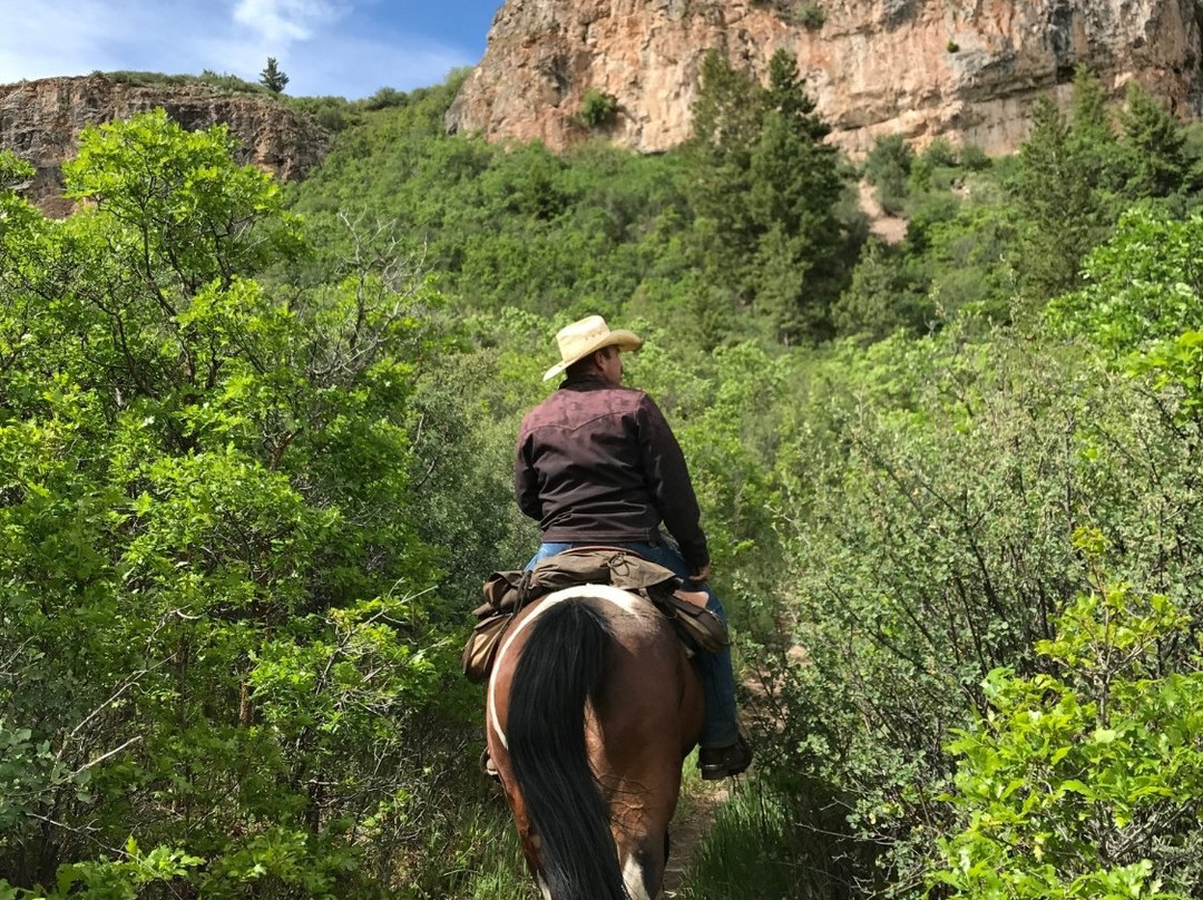 A. J. Brink Outfitters-Gypsum必去景点