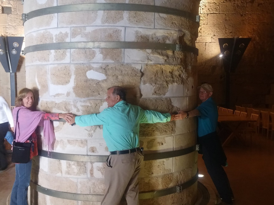 Aussie Guide in Israel-Beit Shemesh必去景点