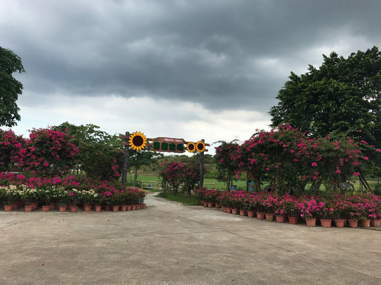 盈香生态园-佛山市必去景点