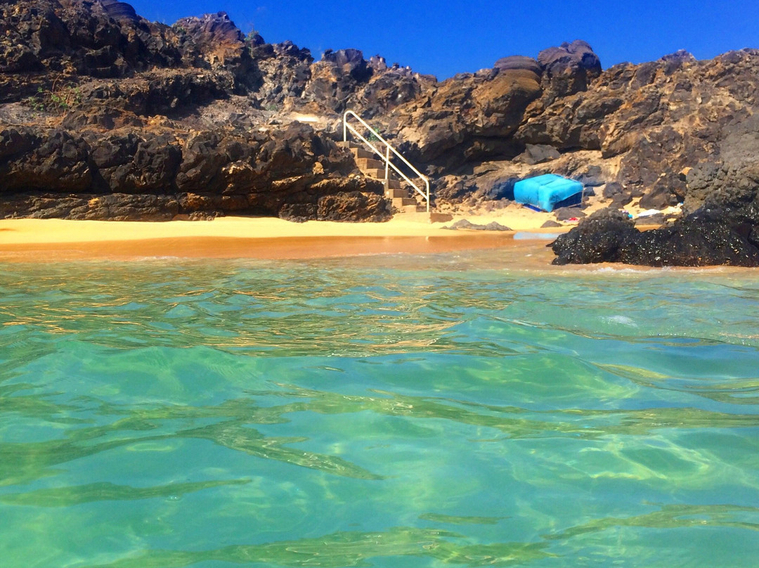 Comfortless Cove-Ascension Island必去景点