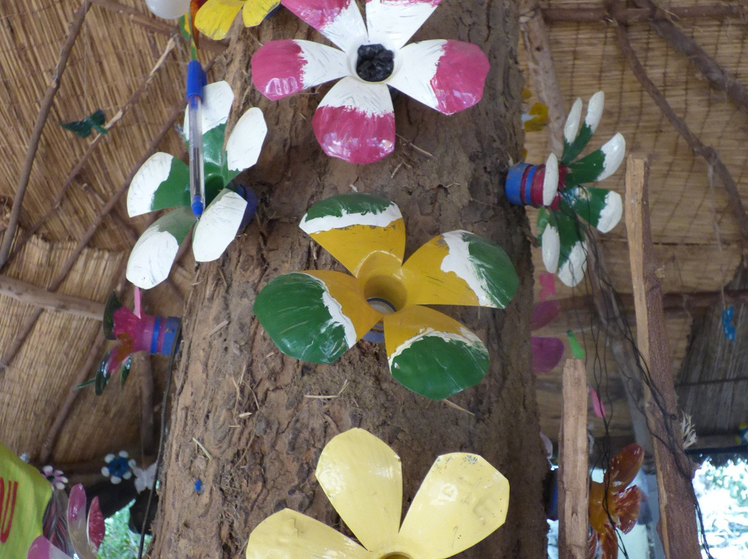 Ferme Youyou-尼亚美必去景点