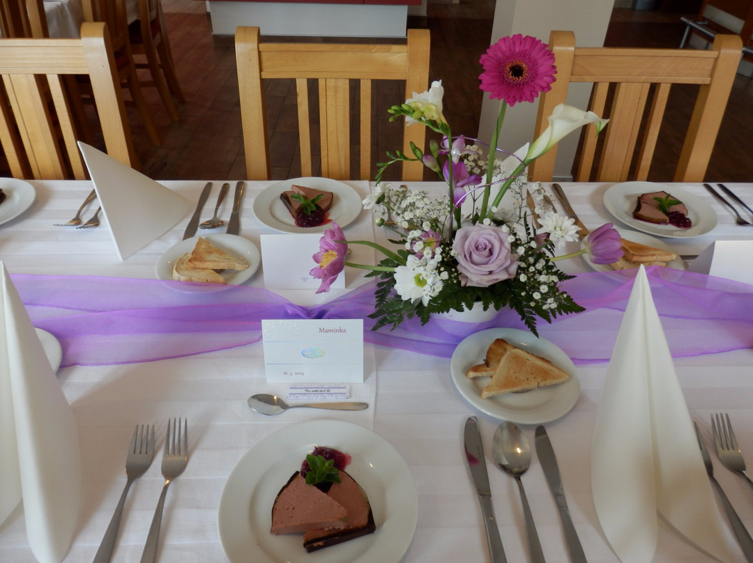 Touzim酒店住宿-Penzion Harmonie