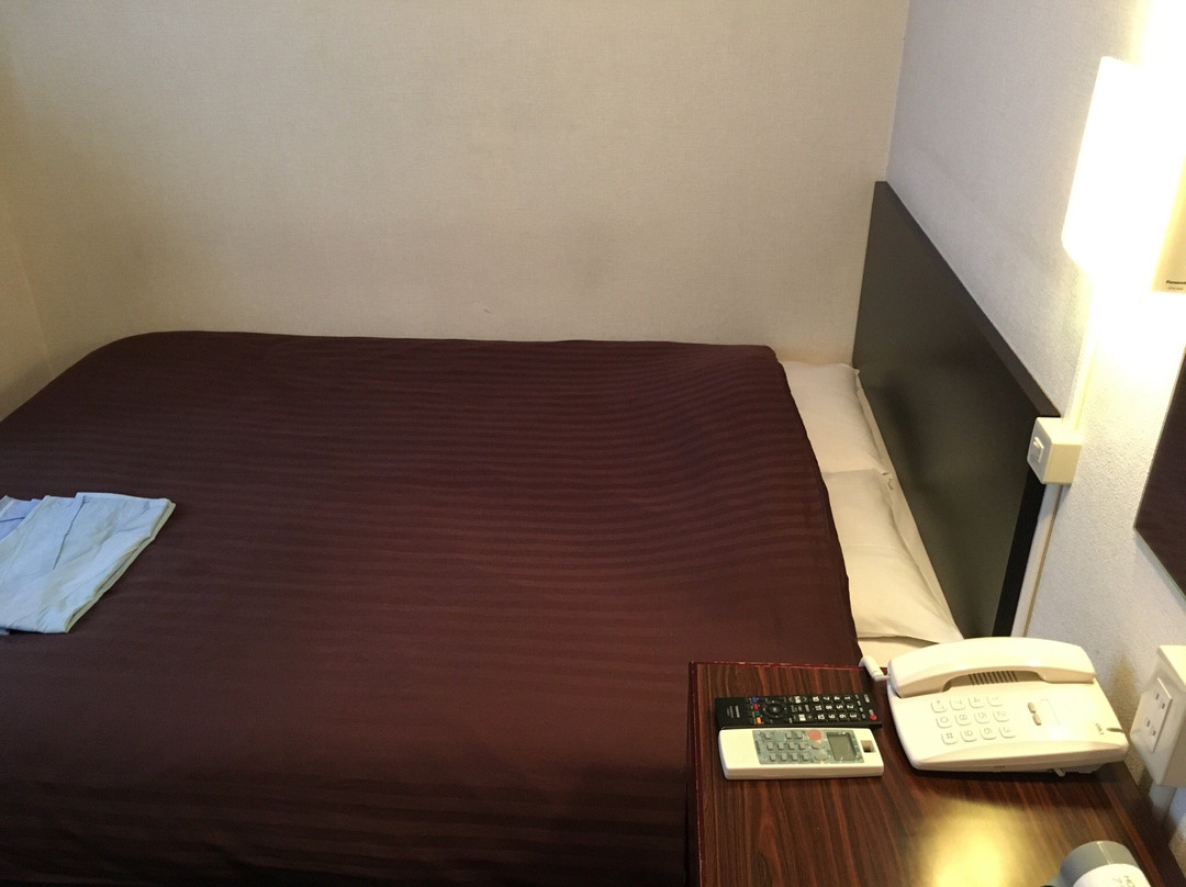 新宿阿克塞斯因酒店主图