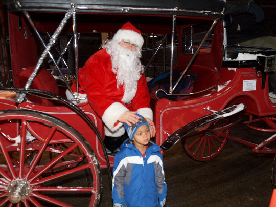 Chicago Horse and Carriage-芝加哥必去景点