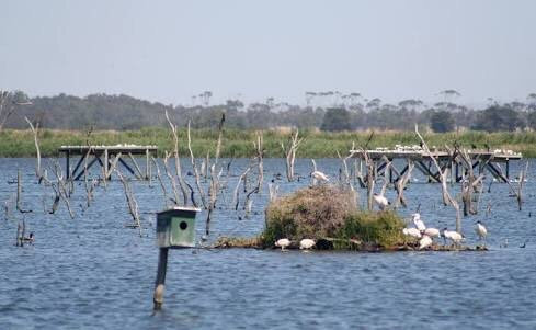 Lake Borrie Wetlands-Little River必去景点