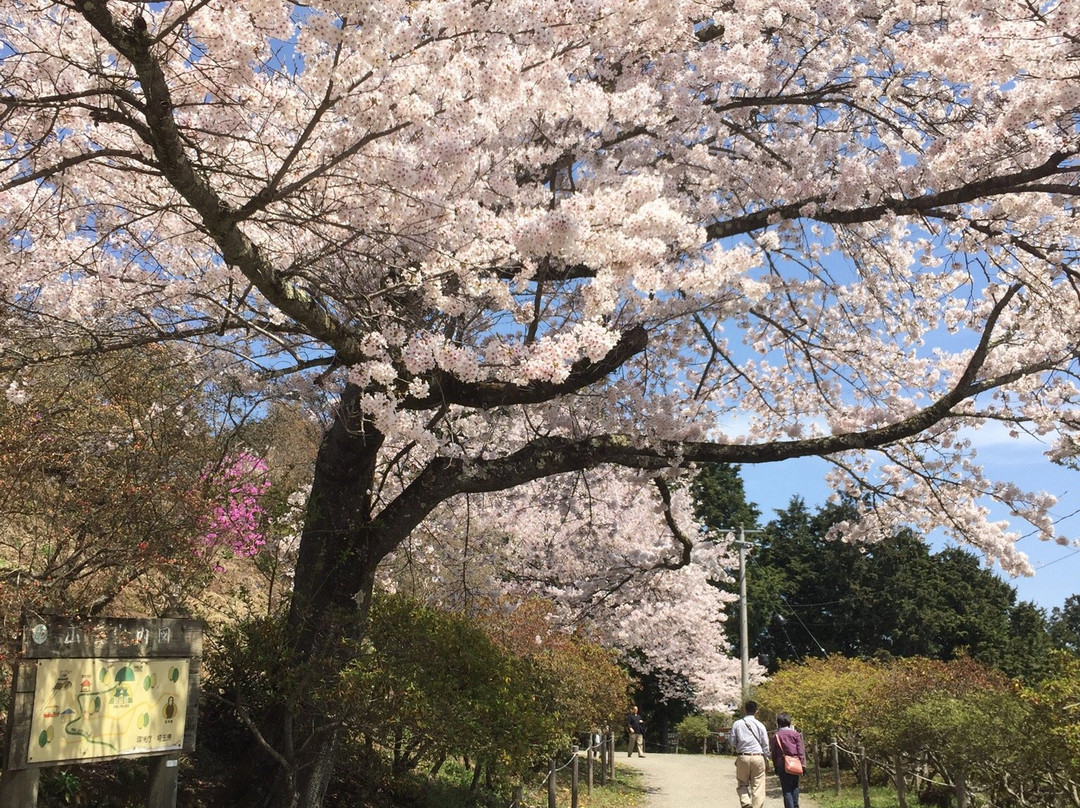 Okumiya-长瀞町必去景点