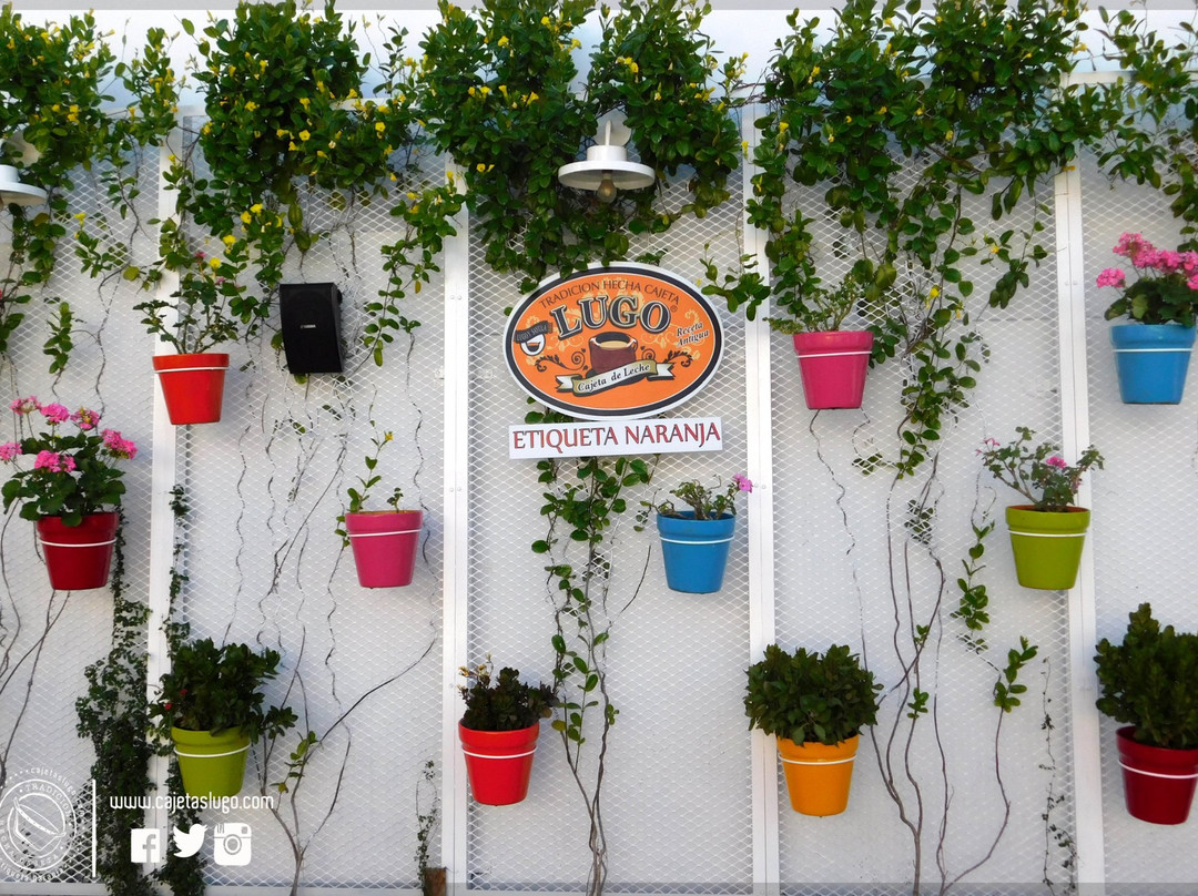 Lugo Factory-Sayula必去景点