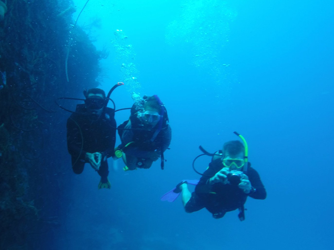 Entre Mares Dive Center景点图片