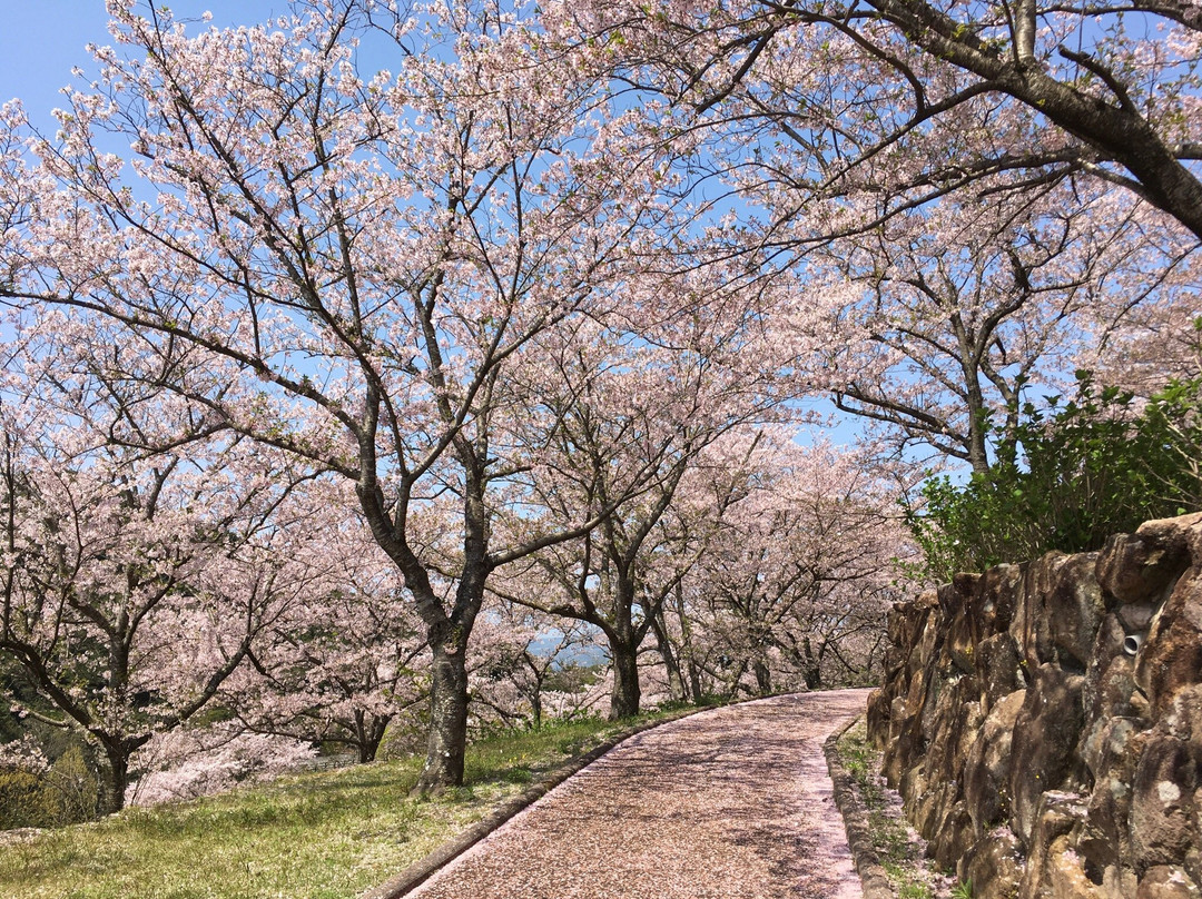 Osaki Kujakuen景点图片