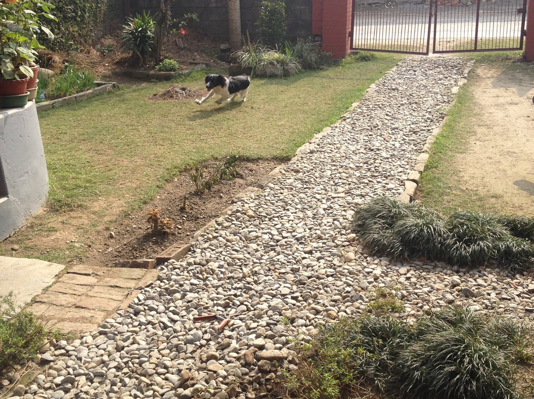 New Hotel Cosmos & Restaurant主图