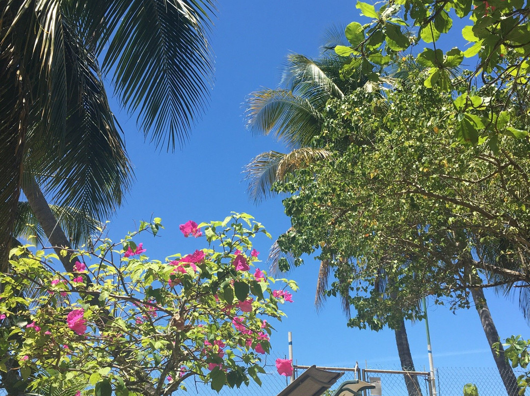 Boriken Delights-Rio Grande必去景点