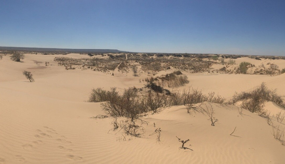 Mescalero Sands North Dune Off-Highway Vehicle Area-罗斯威尔必去景点