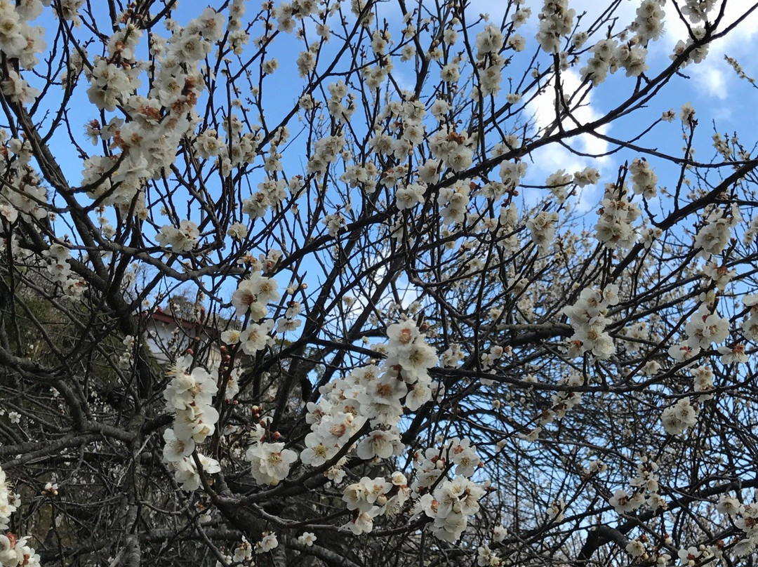 Akima Bairin-安中市必去景点
