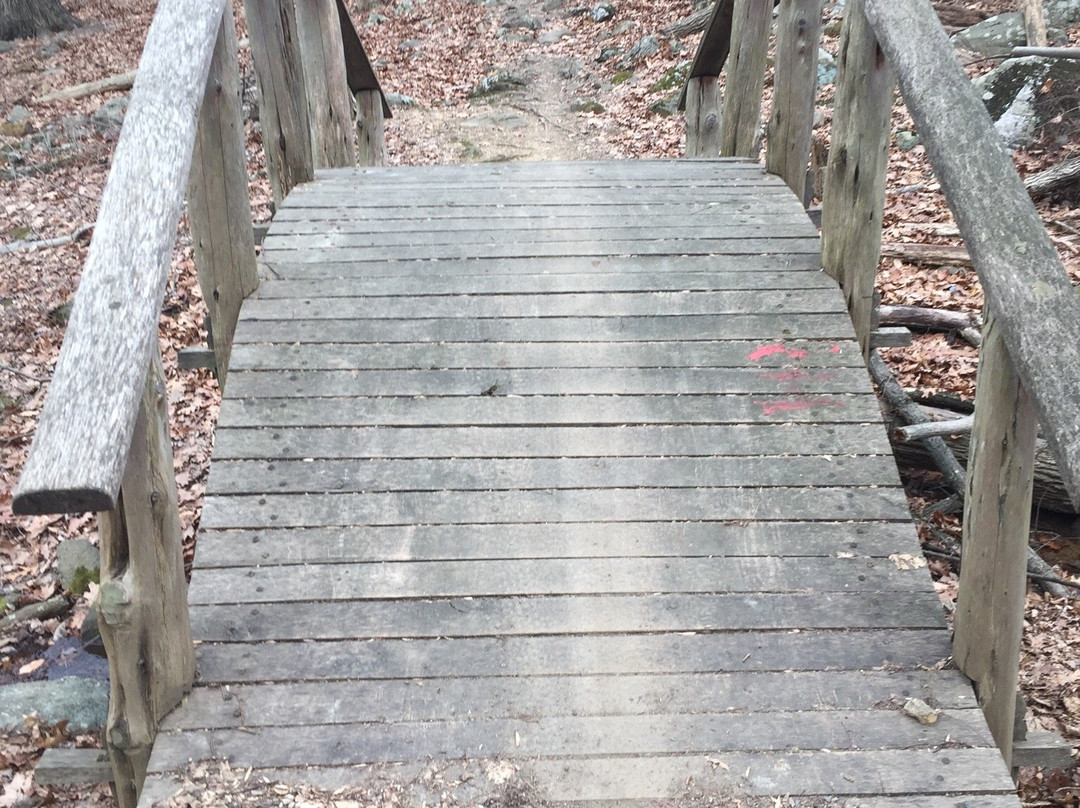 Lehigh Millennium Folk Arch and Art Enclave-伯利恒必去景点