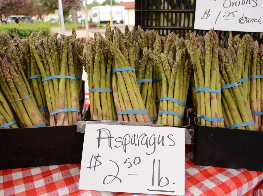 Tigard Farmers Market-泰格德必去景点