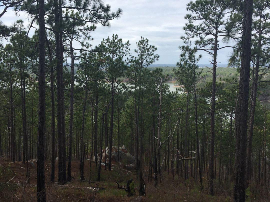 Smith Mountain Fire Tower景点图片