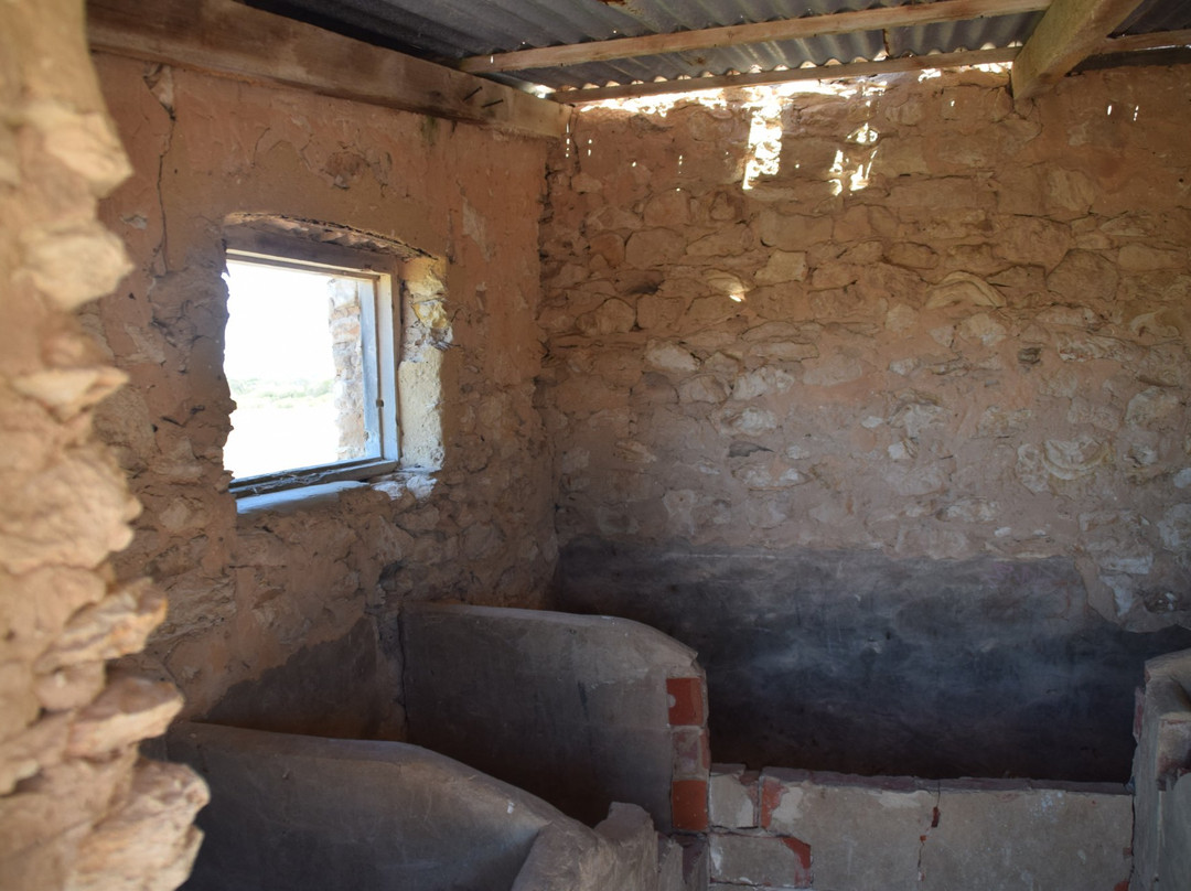 Basham's Beach Regional Park-Middleton必去景点