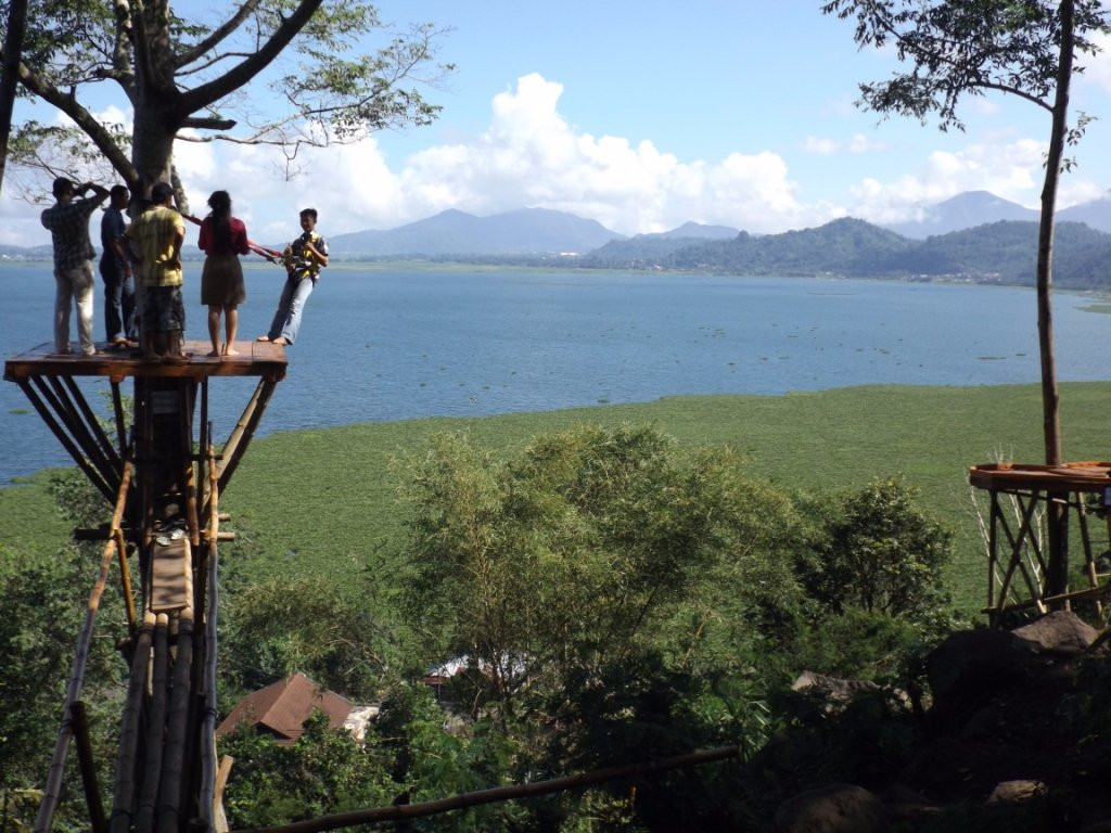 Urongo Tree House景点图片