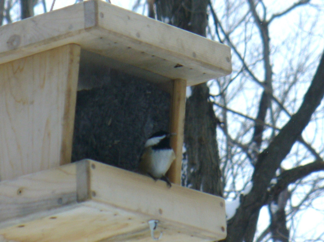 Parc du Bois-Beckett-舍布鲁克必去景点