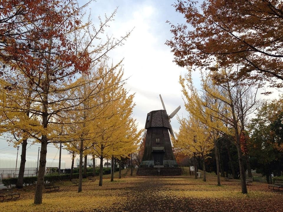 Minumamotoiri Park景点图片