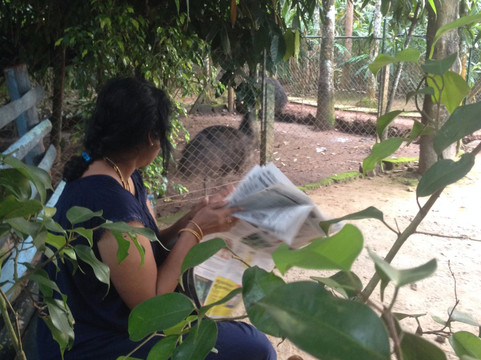 Wayanad Green Park主图