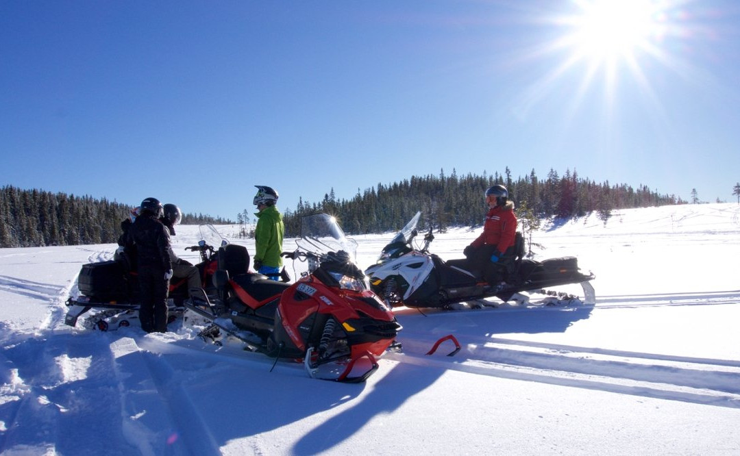 Snow Scooter Tour Sweden-Torsby必去景点