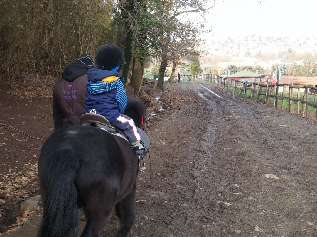 Göçmen's Ranch-伊斯坦布尔必去景点