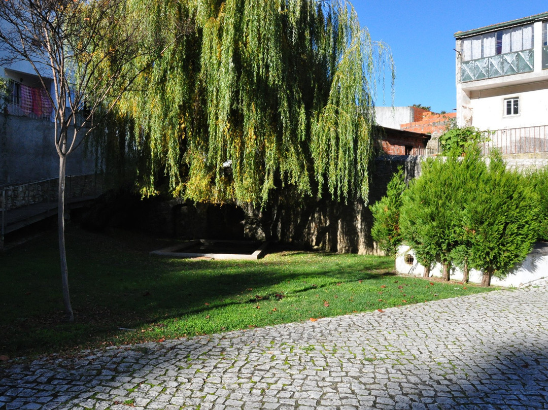 Piscina Natural de Ançã景点图片