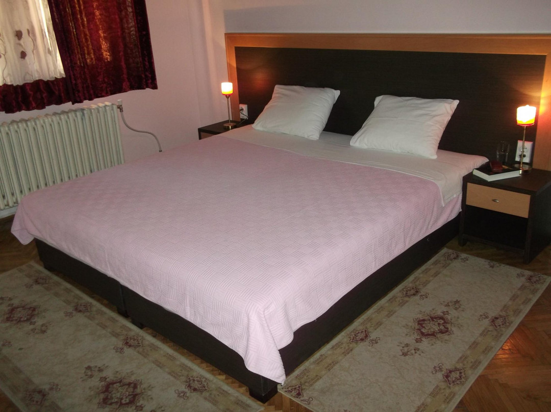Aldinci酒店住宿-Hotel Vila Silia